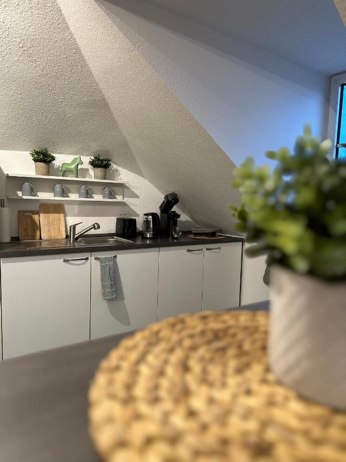 Oasis Appart - Wohnen Am Elbtal - Balkon - Netflix - Tiefgarage Dresden Exterior photo