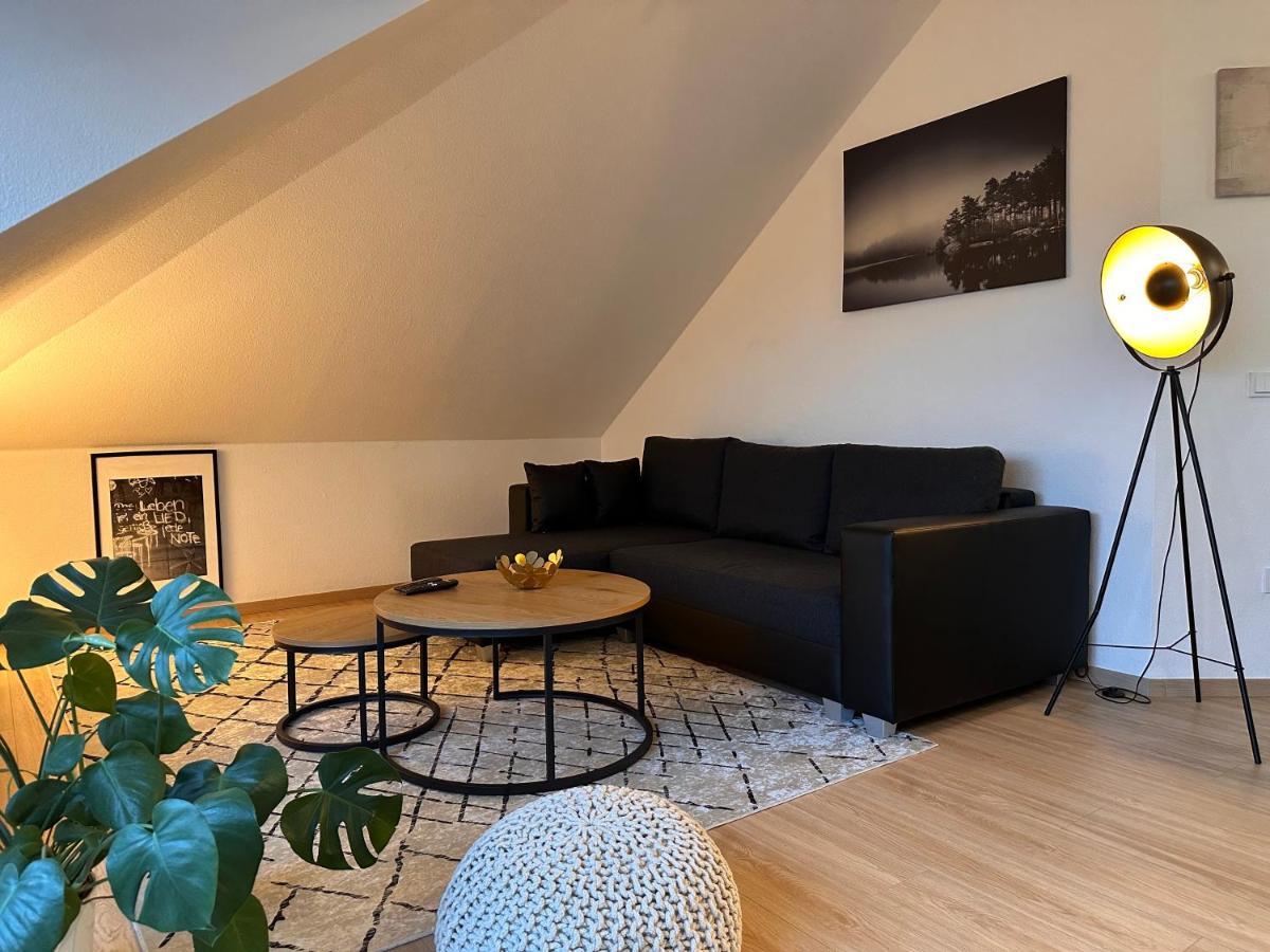 Oasis Appart - Wohnen Am Elbtal - Balkon - Netflix - Tiefgarage Dresden Exterior photo